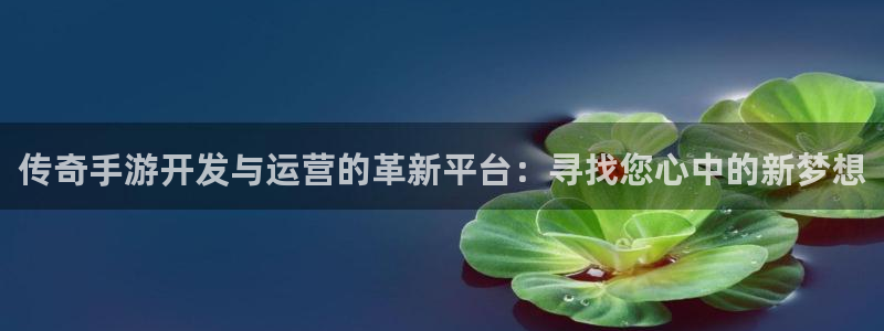 摩根娱乐app下载官网安装：传奇手游开发与运营的革新平台：寻