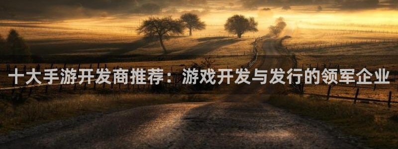 摩根娱乐官网入口网站在线观看：十大手游开发商推荐：游戏开发与