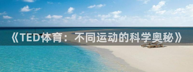 xc体育app官方网站