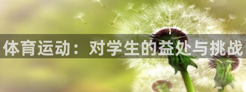 xc体育