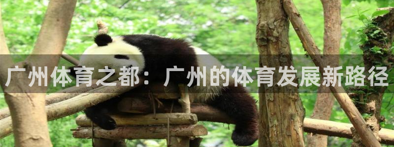 xc体育app官方网站