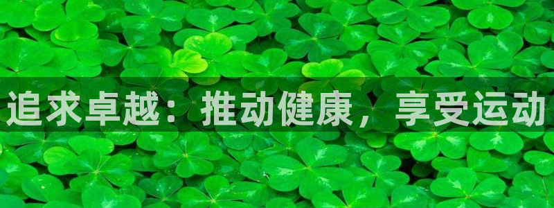 xc体育app官方网站