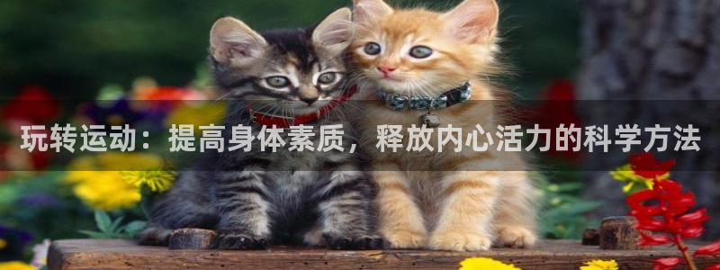 xc体育app官方网站