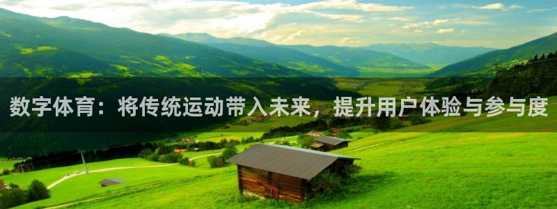 xc体育