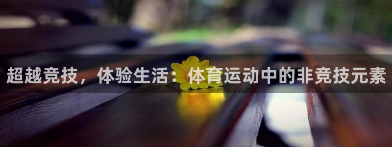 xc体育app官方网站
