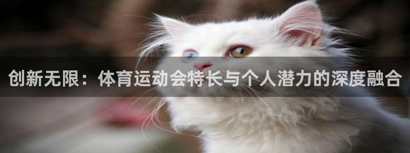 xc体育