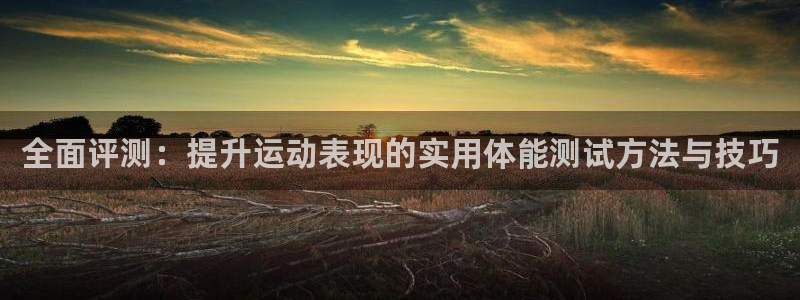 xc体育